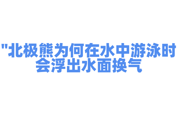 "北极熊为何在水中游泳时会浮出水面换气？"